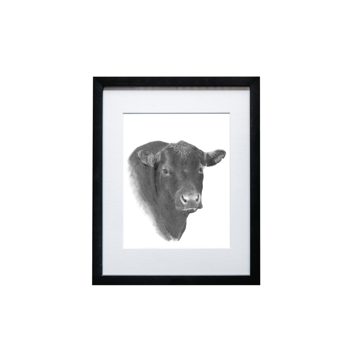 Angus Bull Print