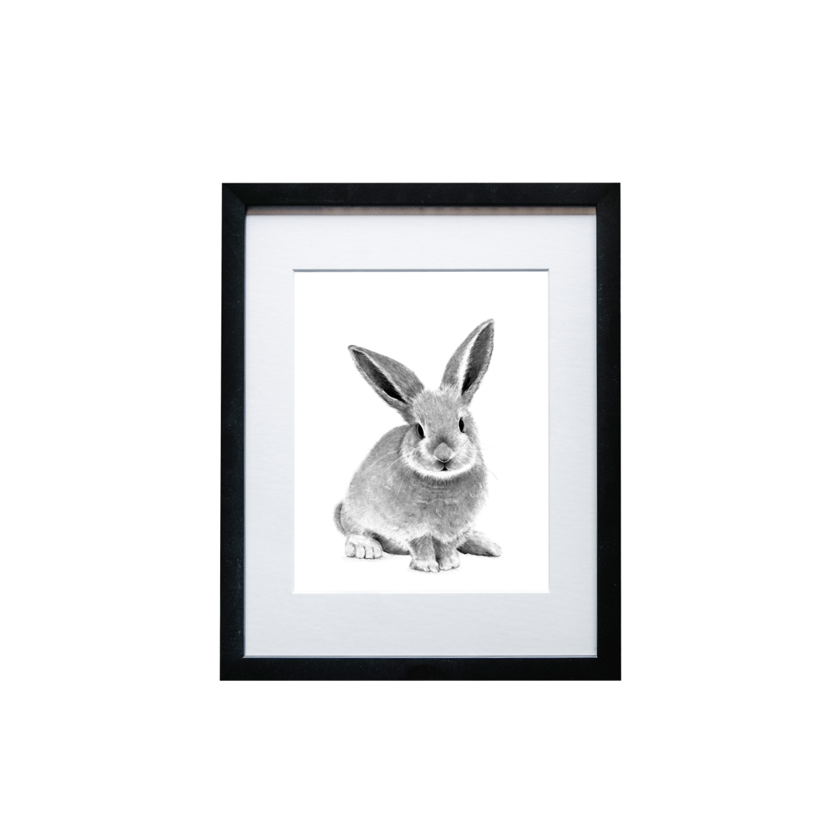 Bunny Print - Wholesale